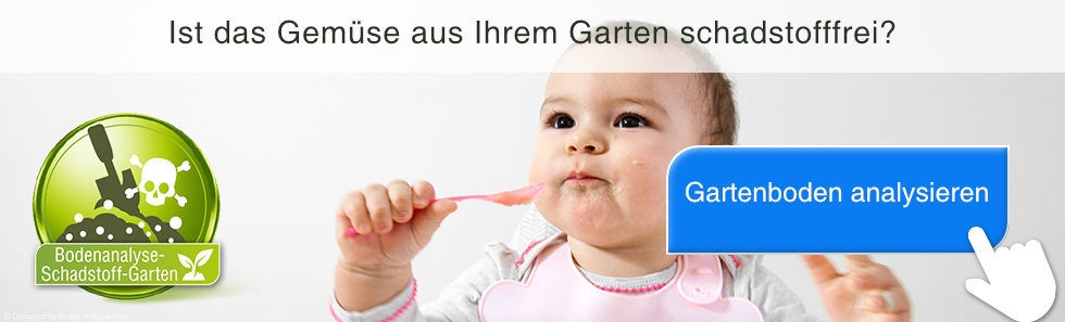 bodenschadstoff-analysieren