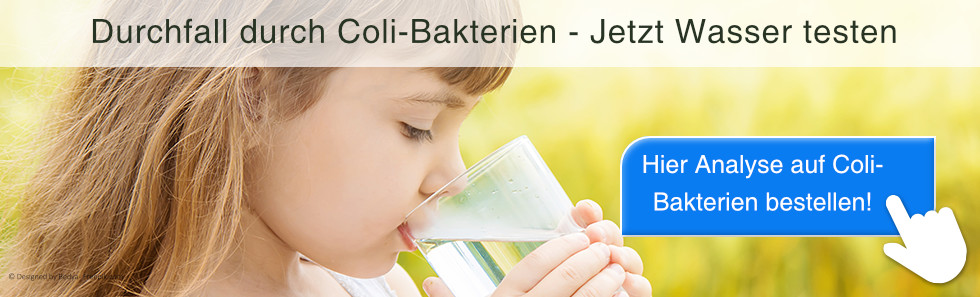 Coli-Bakterien